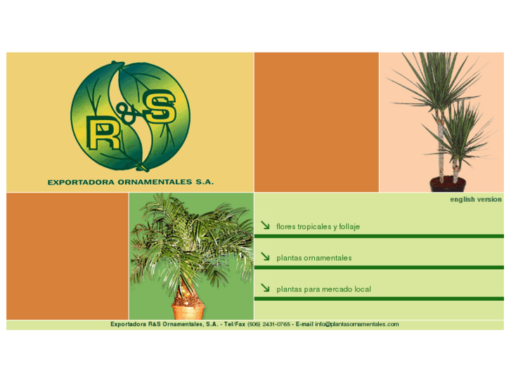 www.plantasornamentales.com