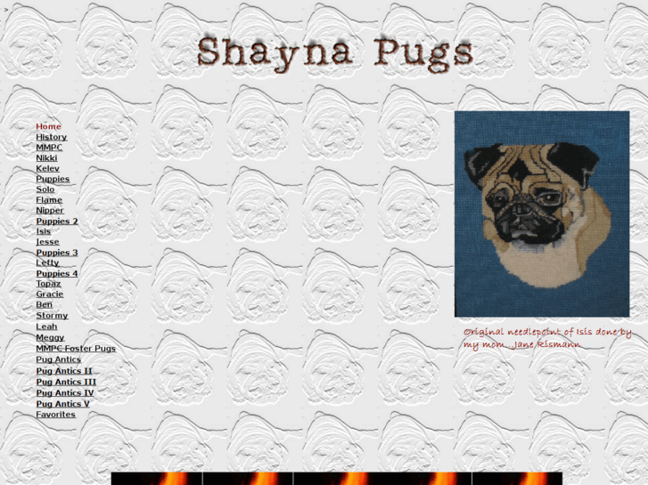 www.shaynapugs.com