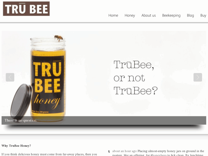 www.trubeehoney.com