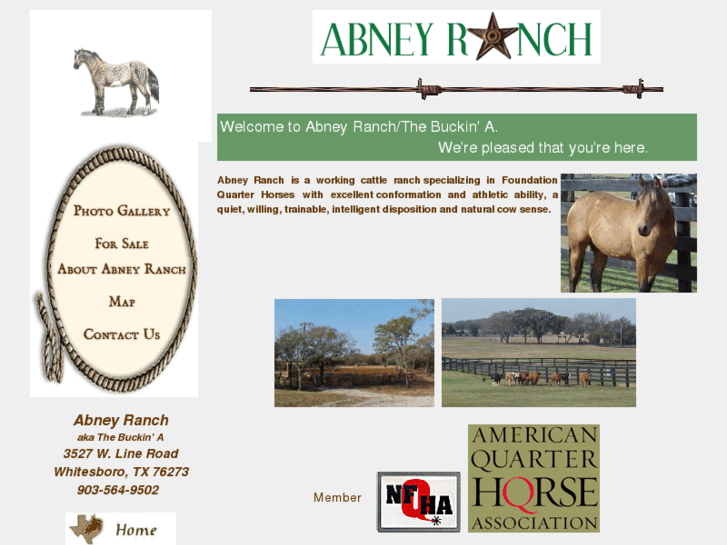 www.abneyranch.com