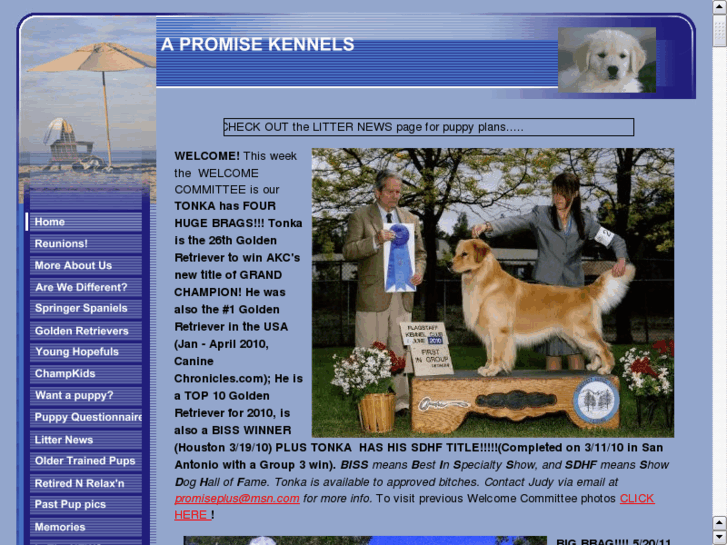 www.promisekennels.com