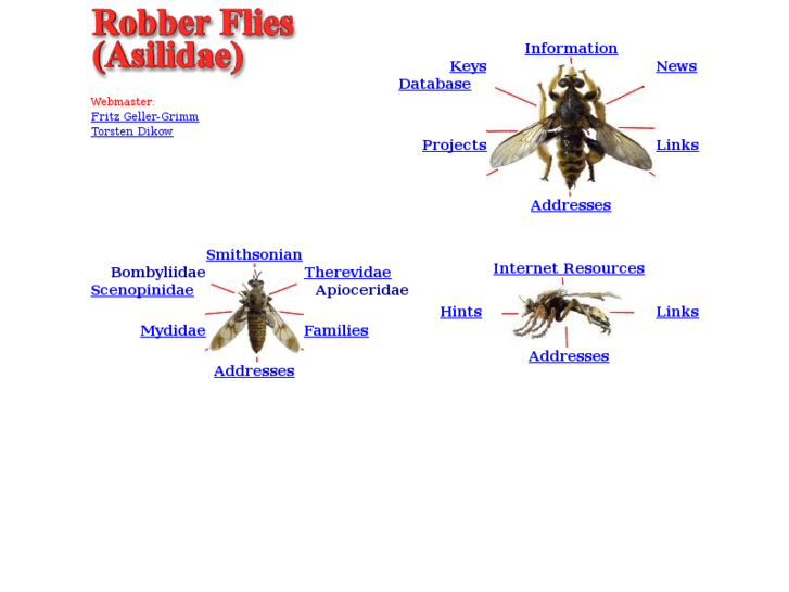 www.robberflies.info