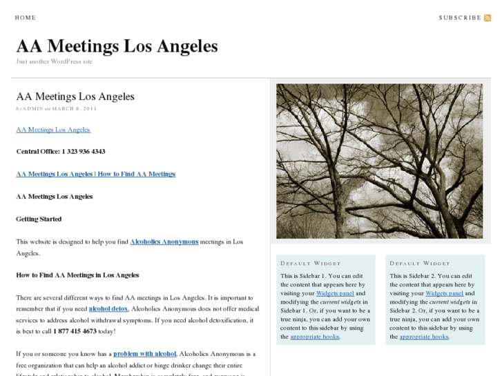 www.aameetingslosangeles.com