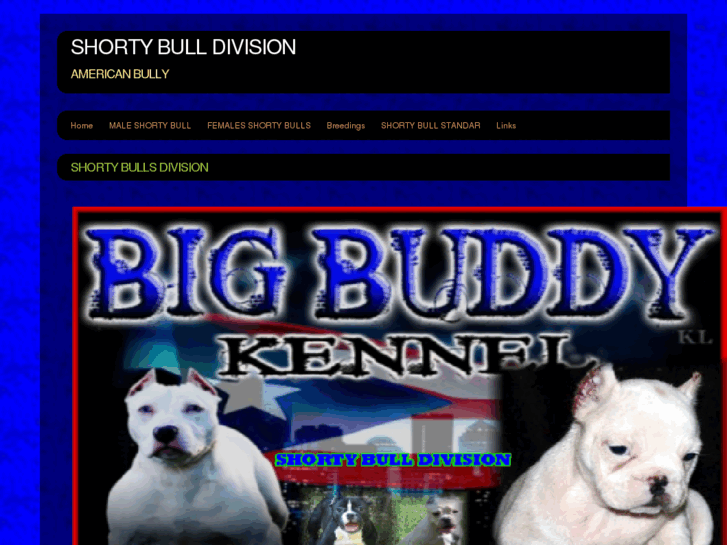 www.bigbuddykennel.com
