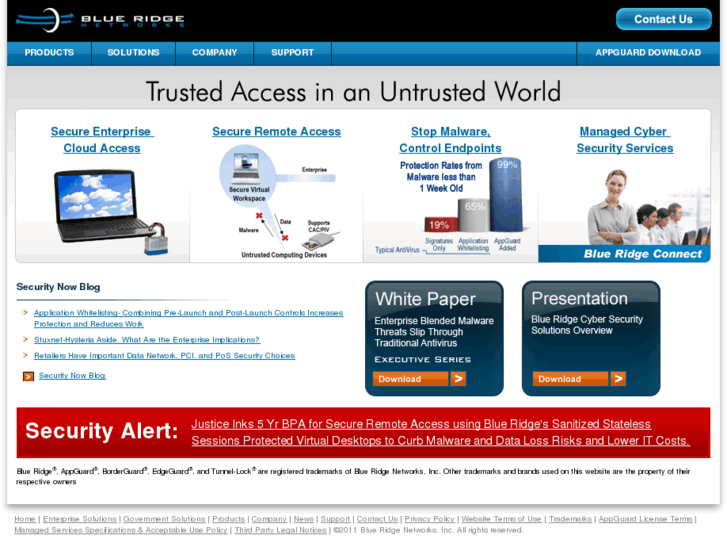 www.blueridgenetworks.com