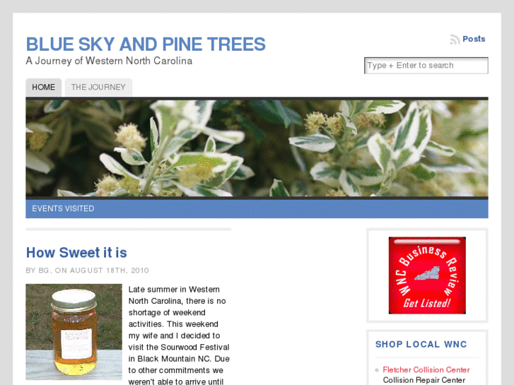 www.blueskyandpinetrees.com