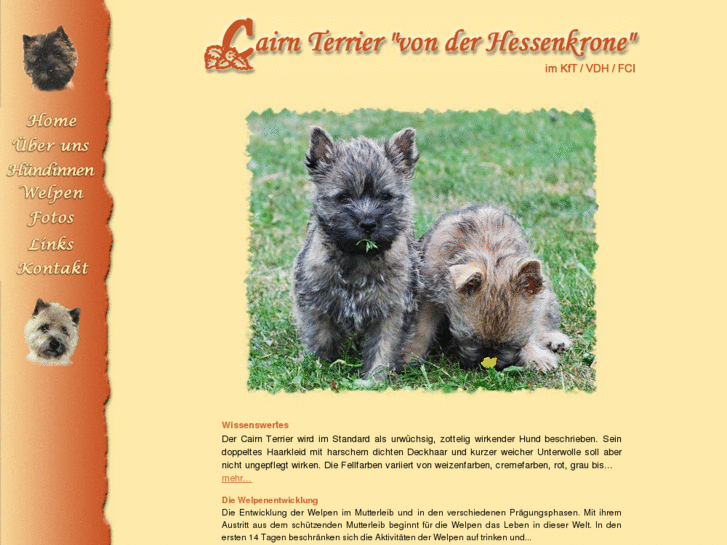 www.cairn-terrier-hessen.com