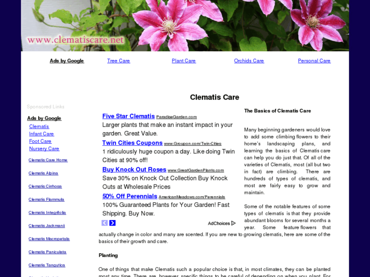 www.clematiscare.net