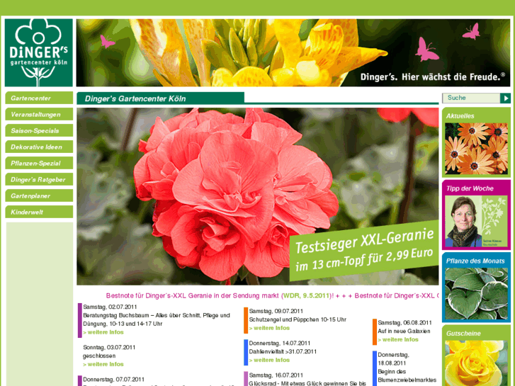 www.dinger.info