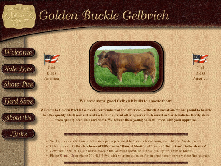 www.golden-buckle-gelbvieh.com