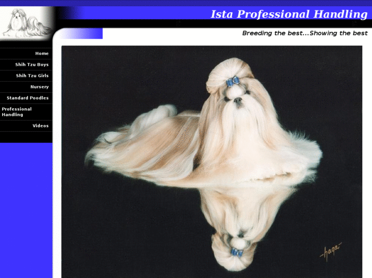 www.istaprofessionalhandling.com