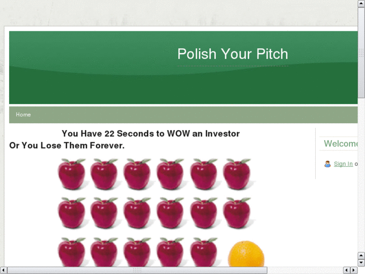 www.polishyourpitch.com