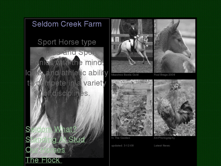 www.seldomcreek.com