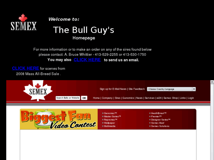 www.thebullguy.com