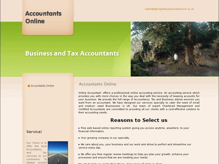 www.accountant-online.info