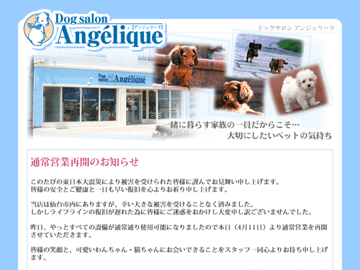 www.dog-angelique.com