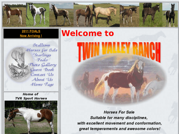 www.twinvalleyranch.com