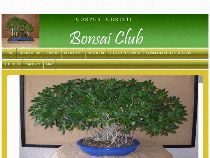 www.corpuschristibonsaiclub.org