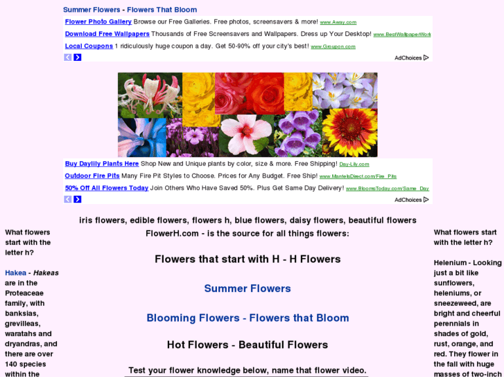 www.flowerh.com