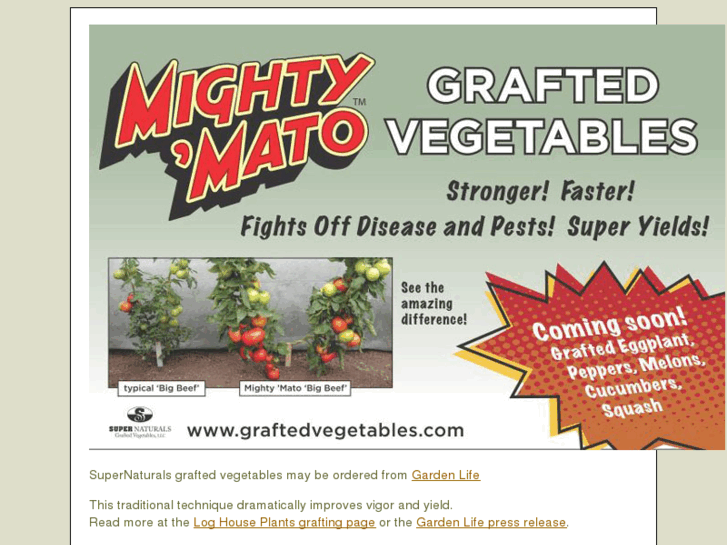 www.graftedvegetables.com