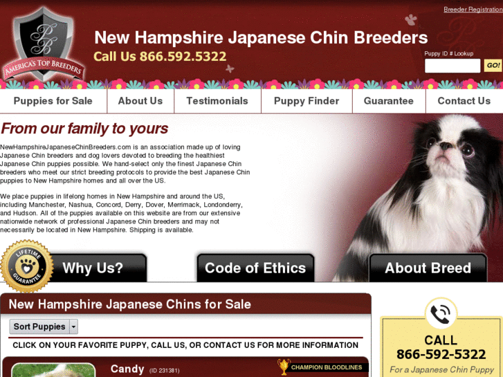 www.newhampshirejapanesechinbreeders.com