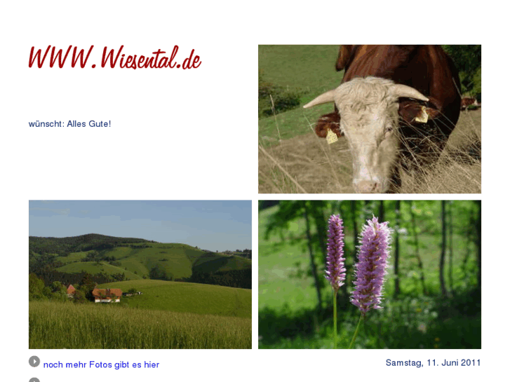 www.wiesental.info