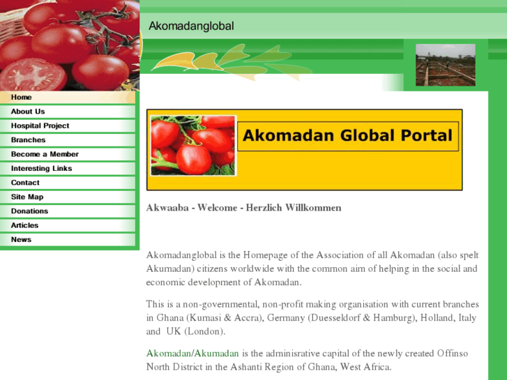 www.akomadanglobal.com