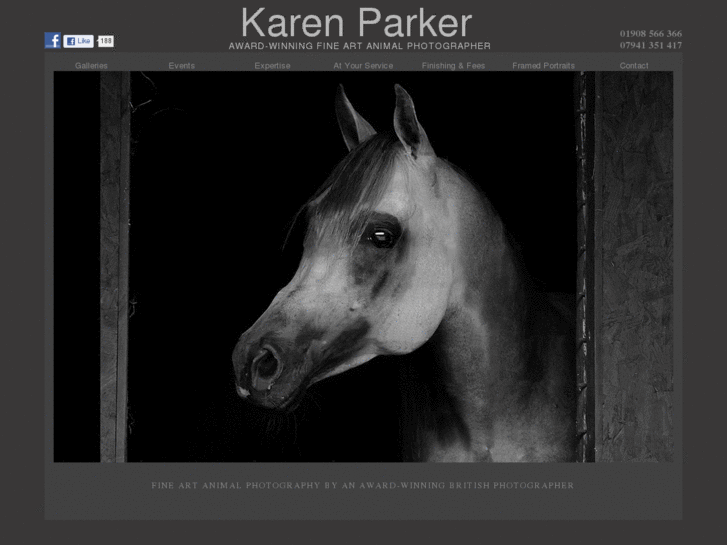 www.karenparker.co.uk