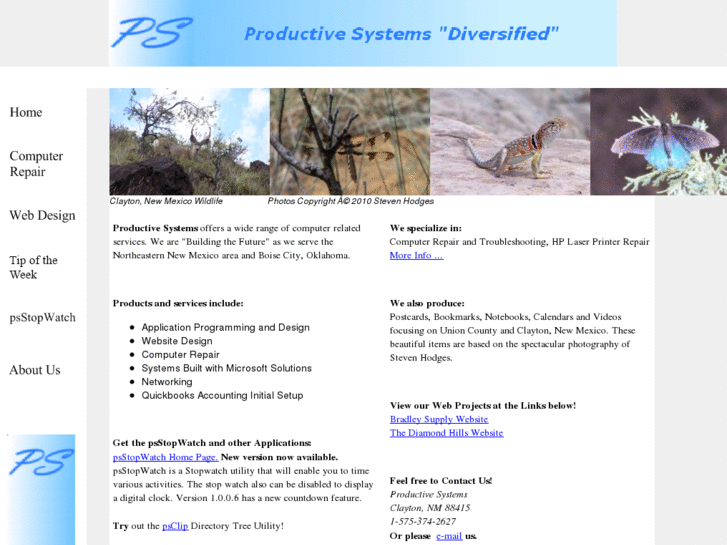 www.prosysdiv.net