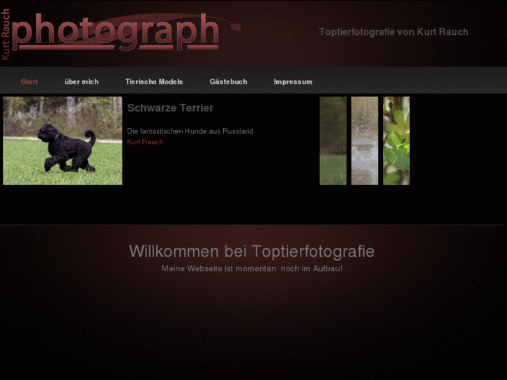 www.toptierfotografie.info