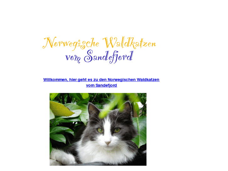 www.waldkatze.de