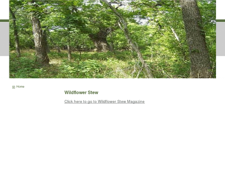 www.wildflowerstew.com