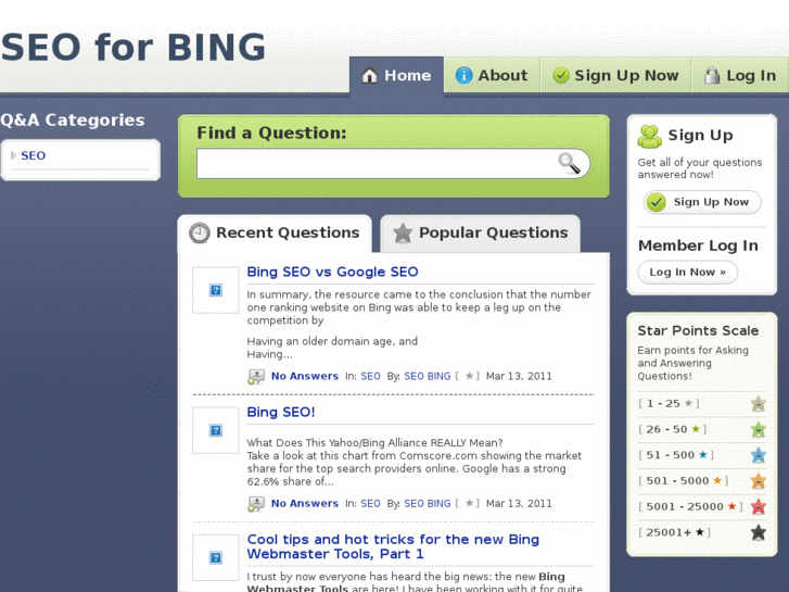 www.bingseo.net