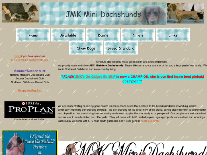 www.jmkminidachshunds.com