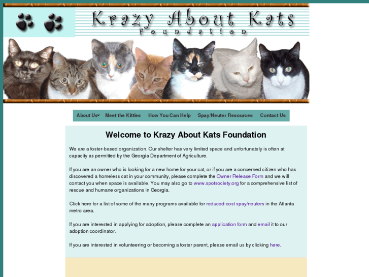 www.krazyaboutkats.com