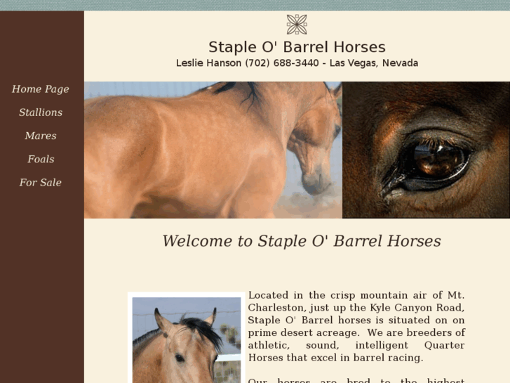 www.stapleobarrelhorses.com