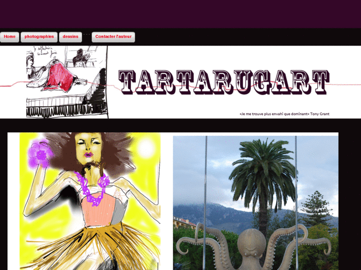 www.tartarugart.com