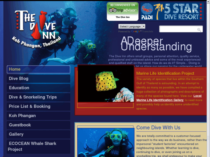 www.the-diveinn.com