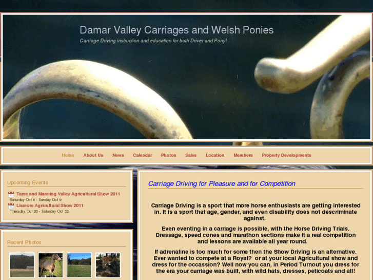 www.damarvalleycarriages.com