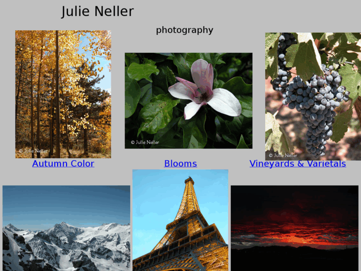 www.julienellerphoto.com