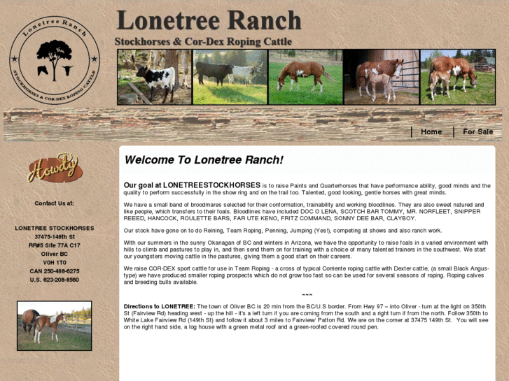 www.lonetreestockhorses.com