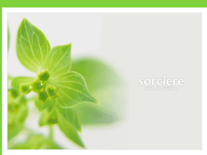 www.sorciere2006.com