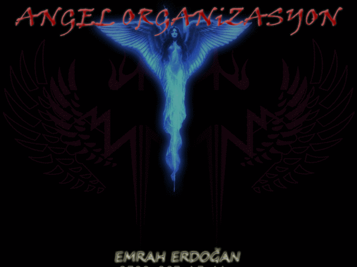 www.angelorganizasyon.com