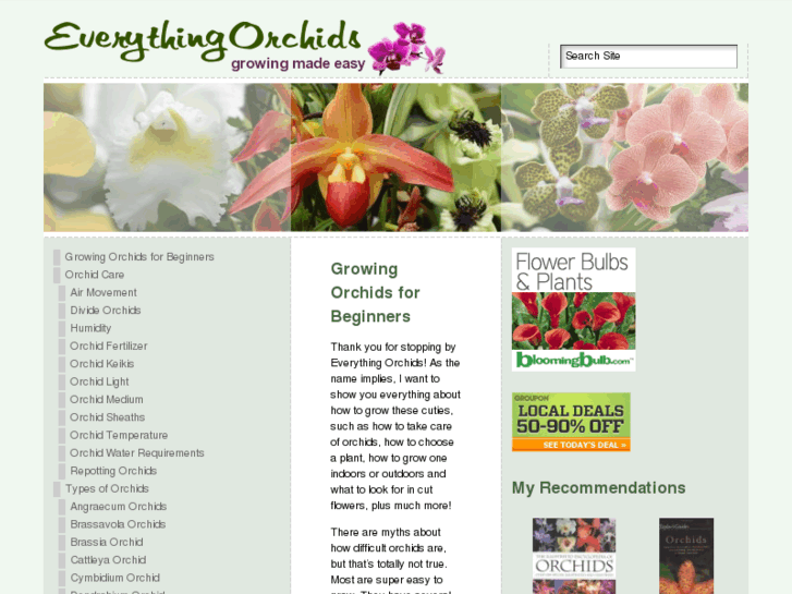 www.everything-orchids.com