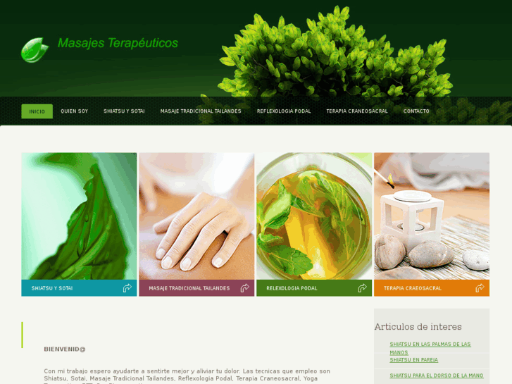 www.masajesterapeuticosmadrid.com