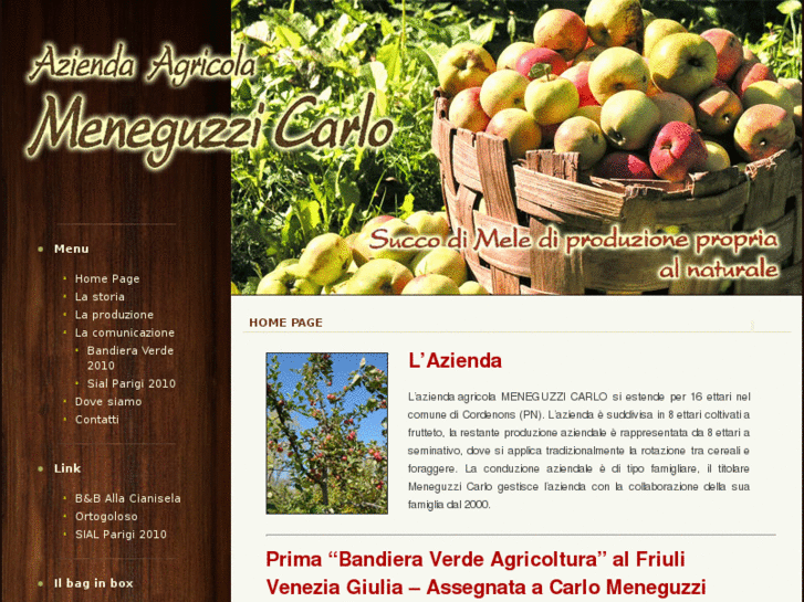 www.meneguzzicarlo.com