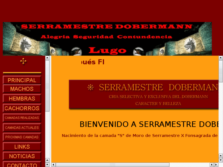 www.serramestre.com