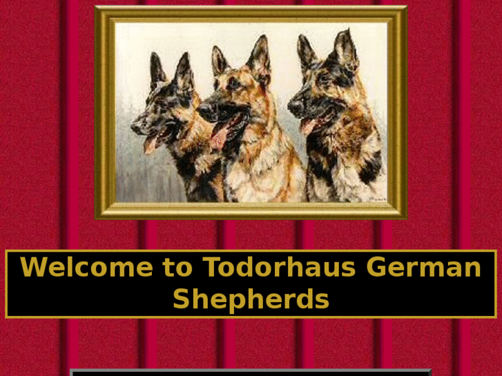 www.todorhausgsd.com