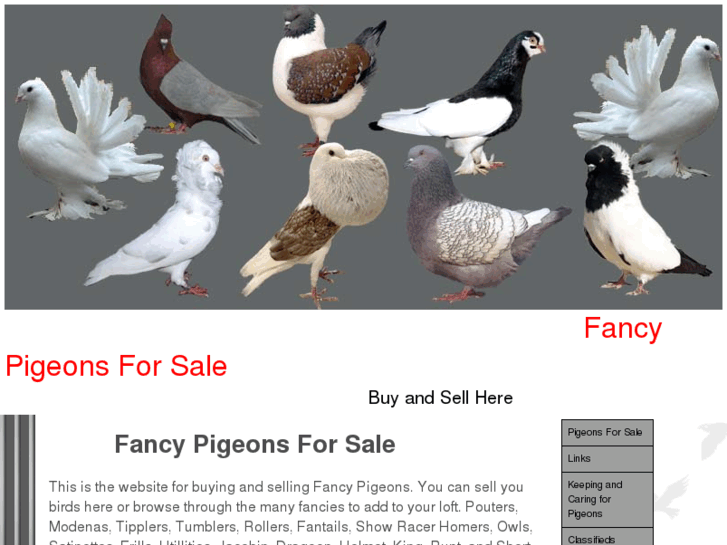 www.fancypigeonsforsale.com