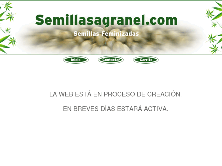 www.semillasagranel.com